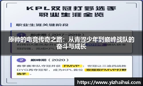 乐竟电竞原帅的电竞传奇之路：从青涩少年到巅峰战队的奋斗与成长